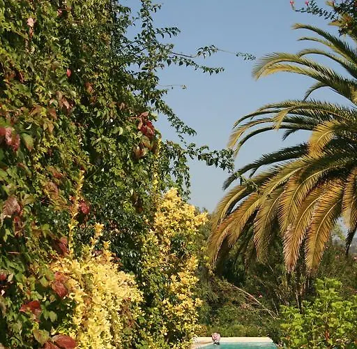 Hotel apartamentowy Capitalmoura Mouragolf Village Vilamoura